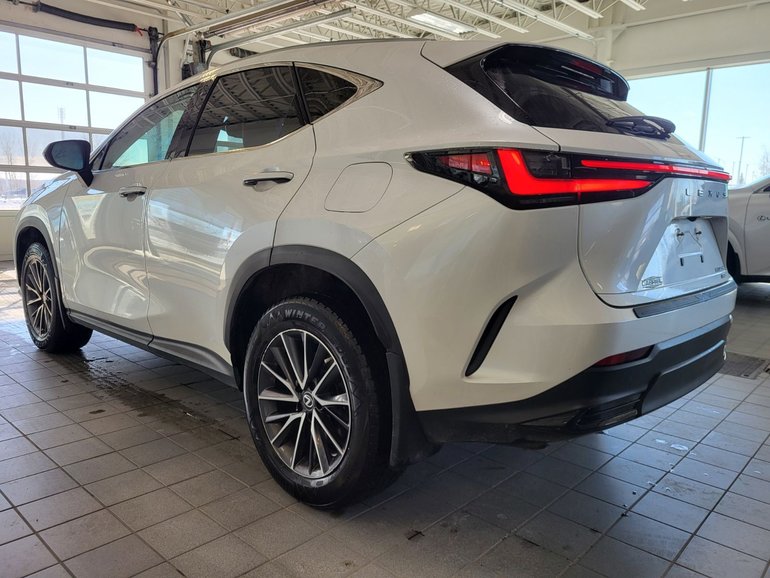 2022 Lexus NX