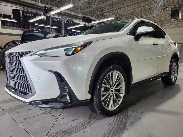 2024 Lexus NX