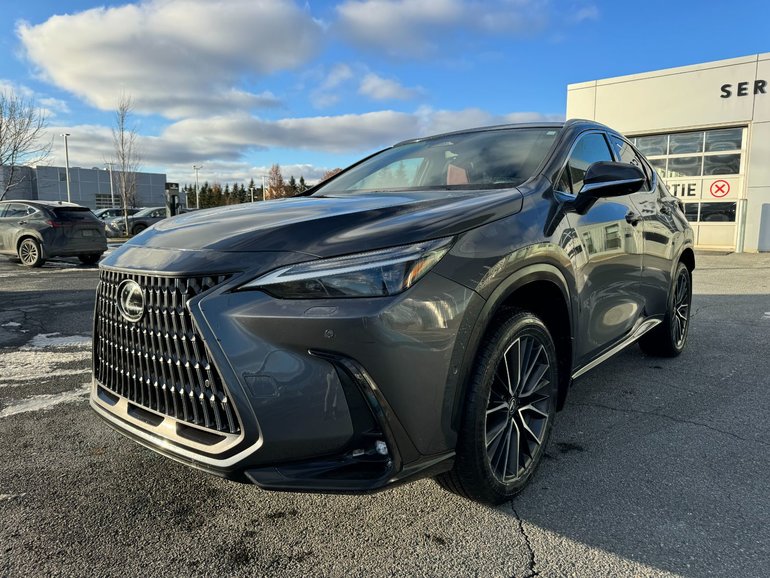 2024 Lexus NX