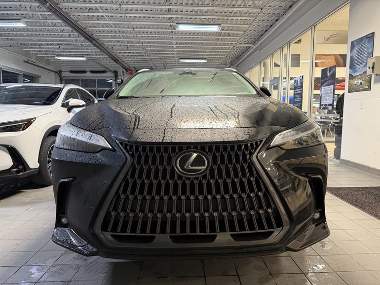 2024 Lexus NX