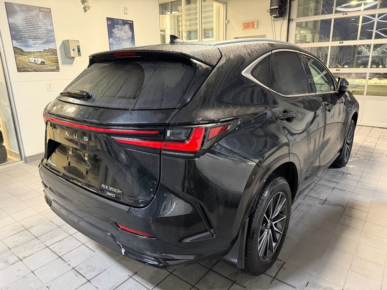 2024 Lexus NX
