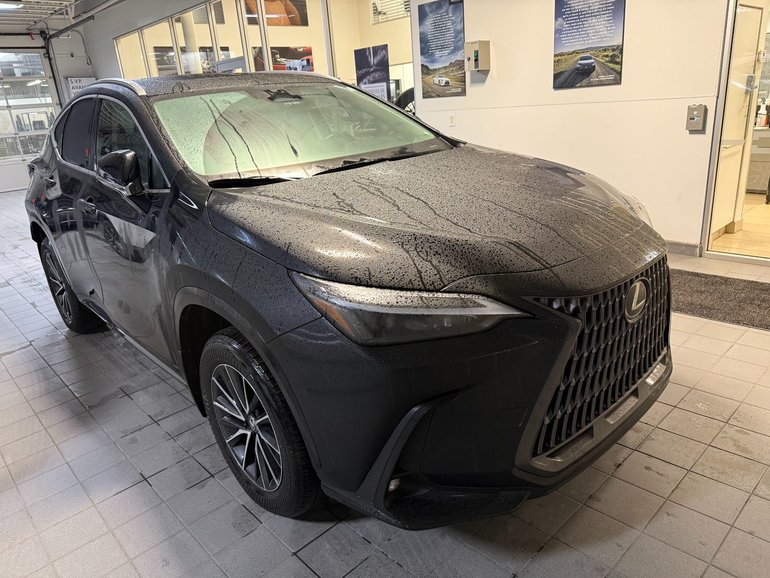 2024 Lexus NX