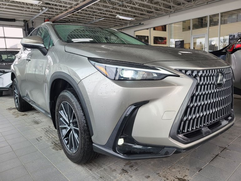 2024 Lexus NXh