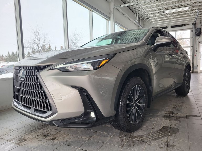 2024 Lexus NXh