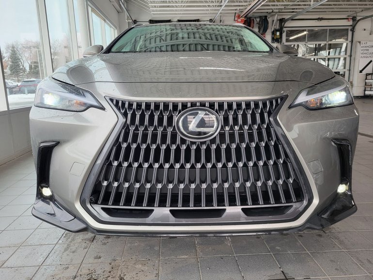 2024 Lexus NXh