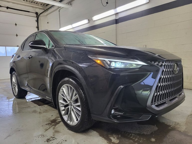 2024 Lexus NX