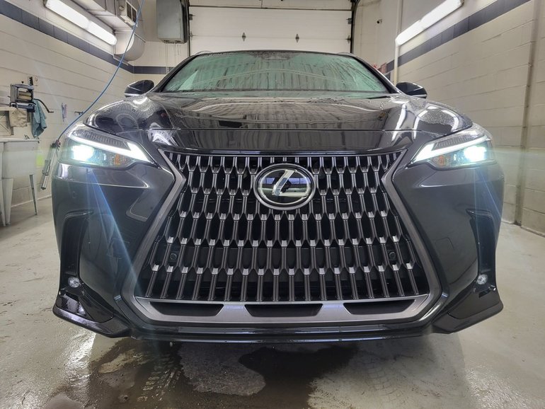 2024 Lexus NX