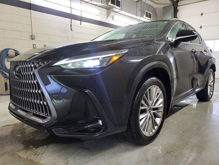 2024 Lexus NX