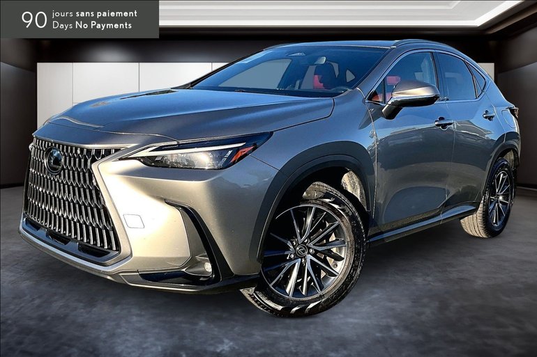 2024 Lexus NX