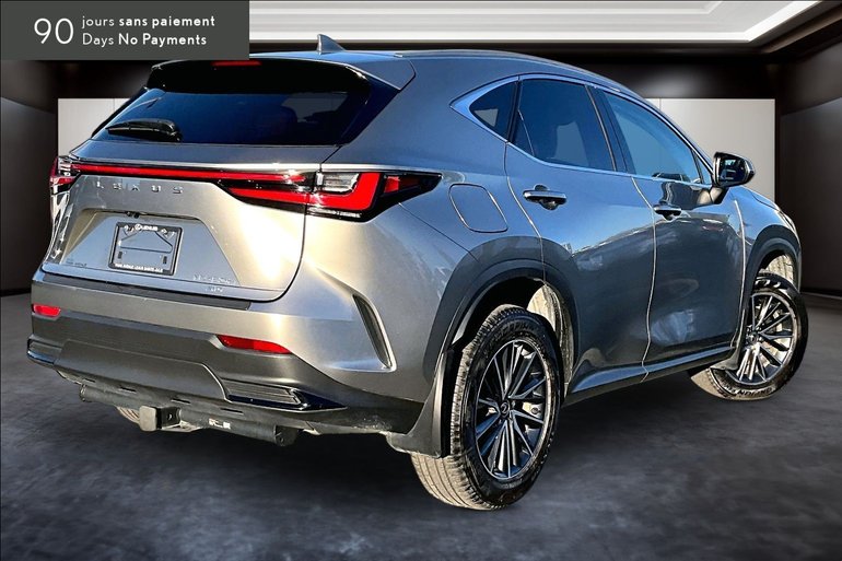2024 Lexus NX