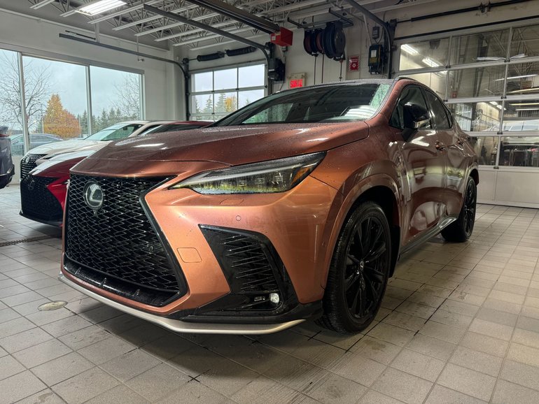 2025 Lexus NX