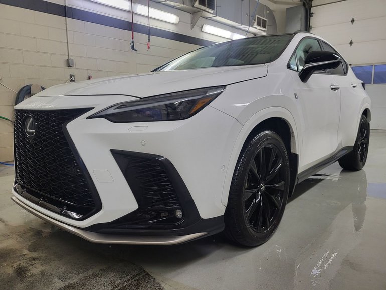 2025 Lexus NX