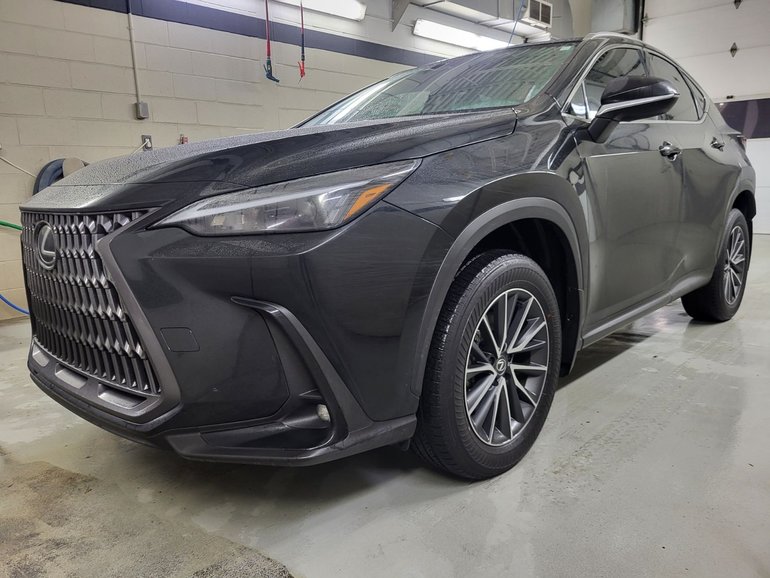 2025 Lexus NX