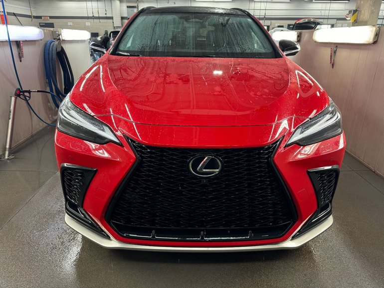2025 Lexus NX