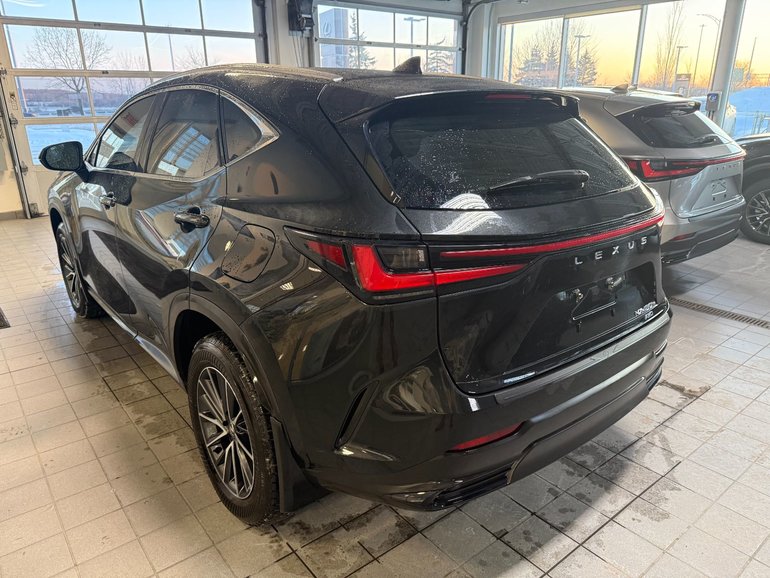 2025 Lexus NX