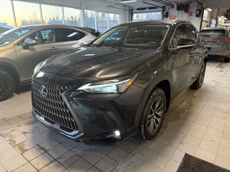 2025 Lexus NX