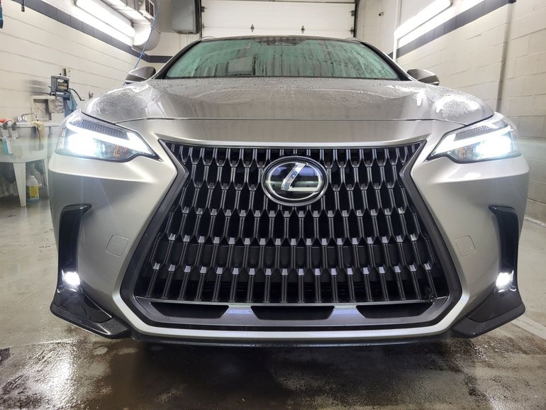 2025 Lexus NX