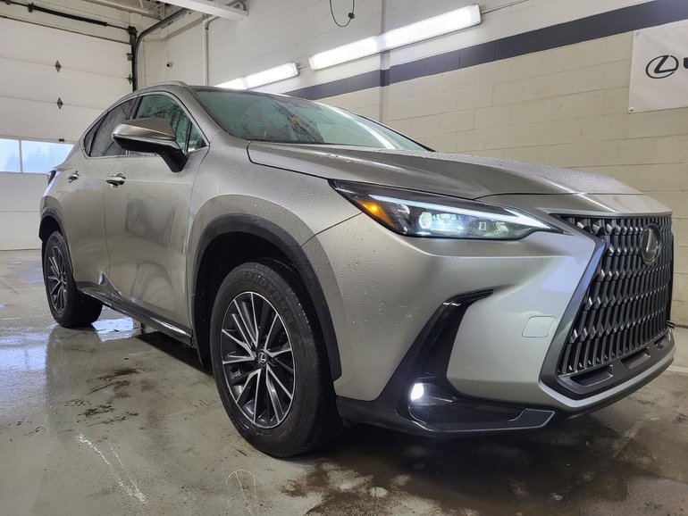 2025 Lexus NX