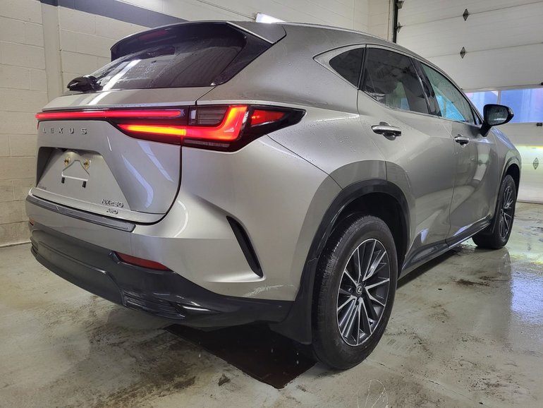 2025 Lexus NX