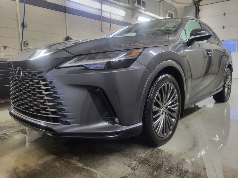 2024 Lexus RX
