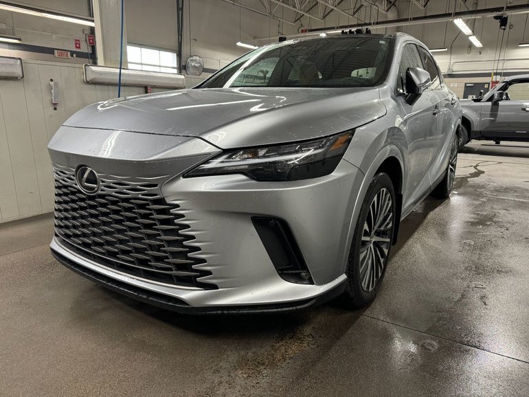 2025 Lexus RX