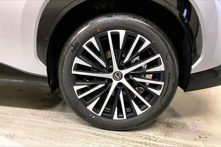 Image 10