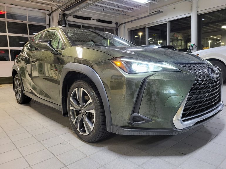 2019 Lexus UX