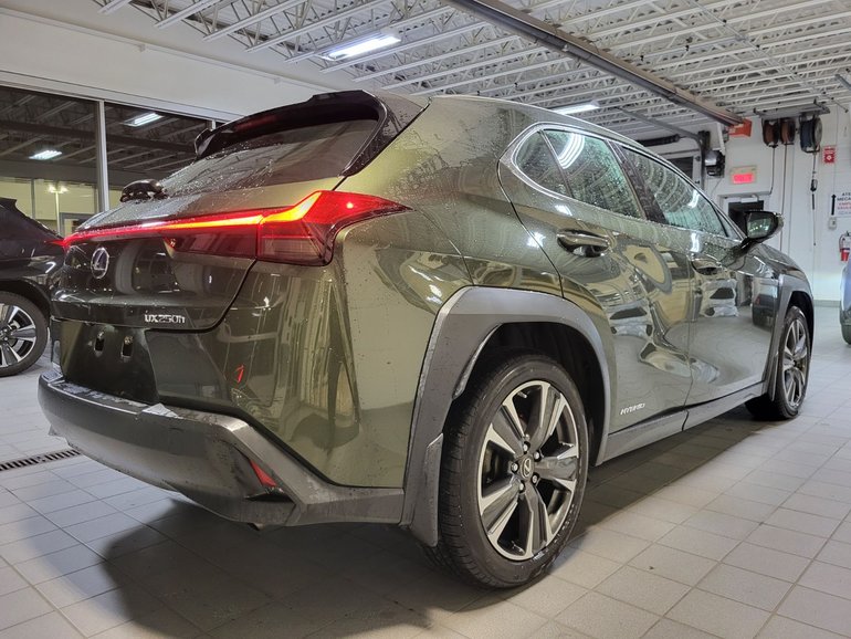 2019 Lexus UX