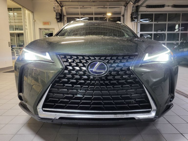 2019 Lexus UX