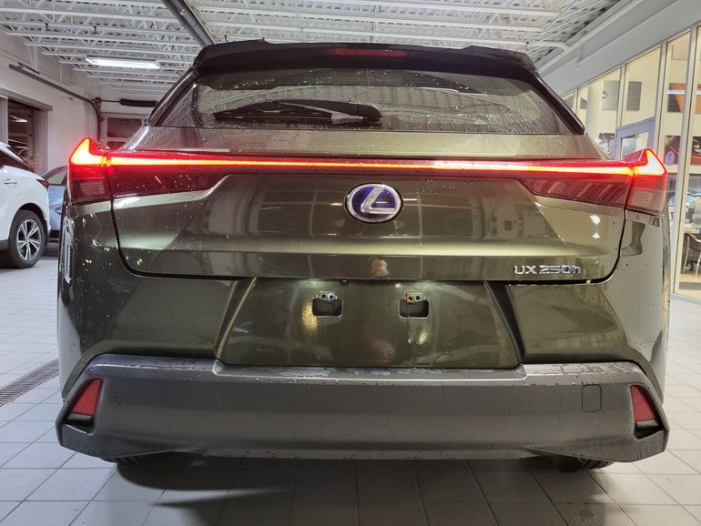 2019 Lexus UX