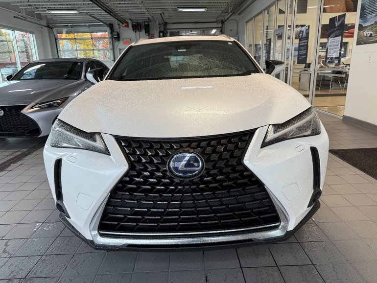 2020 Lexus UX