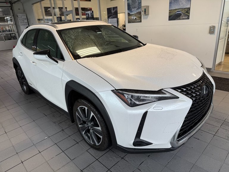 2020 Lexus UX