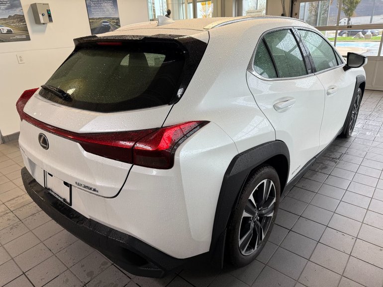 2020 Lexus UX