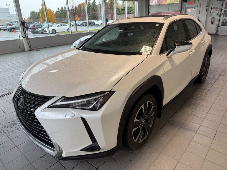2020 Lexus UX