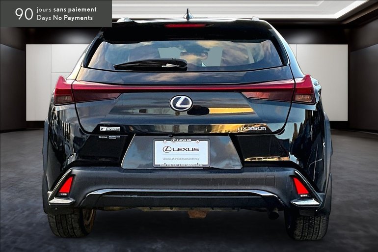 2020 Lexus UX