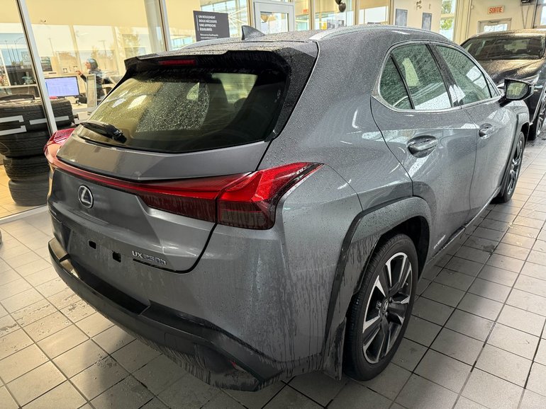 2021 Lexus UX