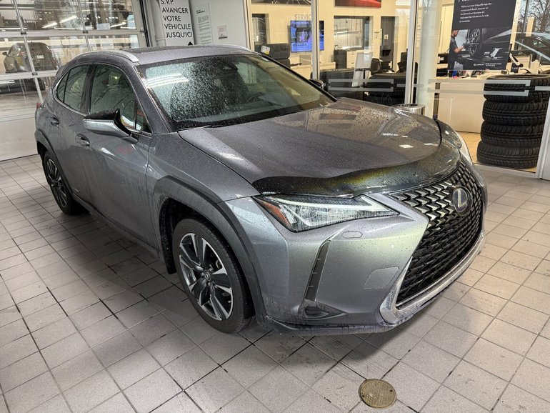 2021 Lexus UX