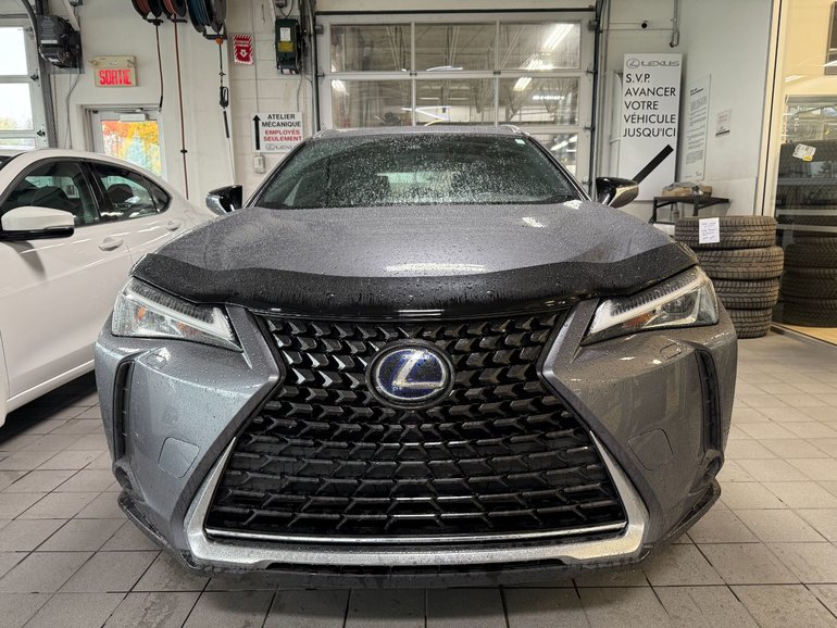 2021 Lexus UX