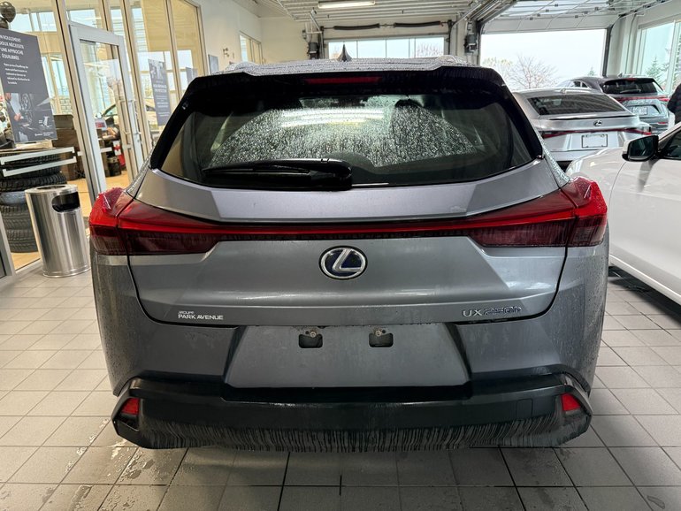 2021 Lexus UX