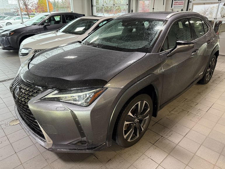 2021 Lexus UX