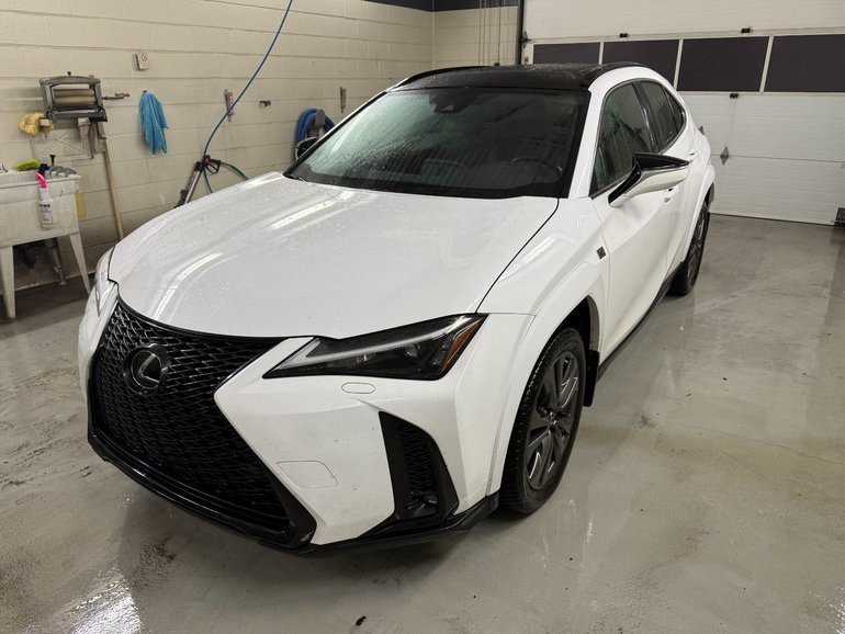 2023 Lexus UX