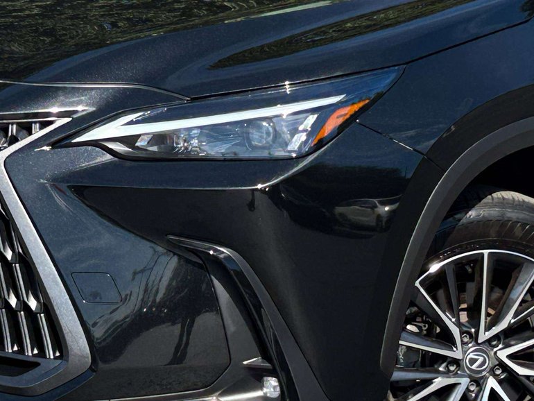 2025 Lexus NX