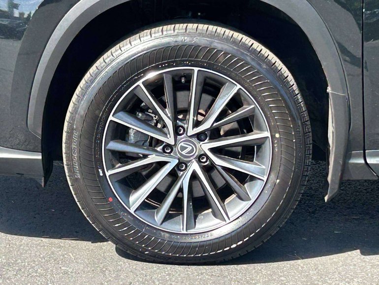 2025 Lexus NX