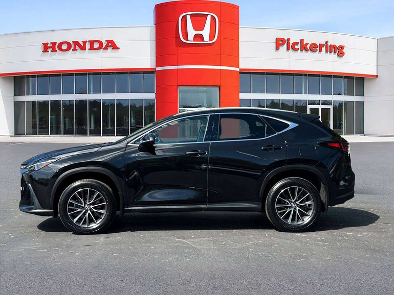 2025 Lexus NX