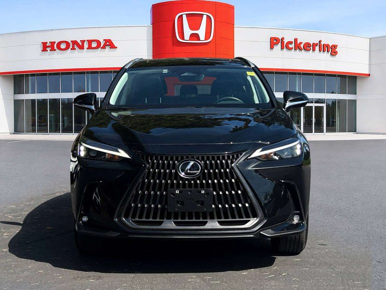 2025 Lexus NX