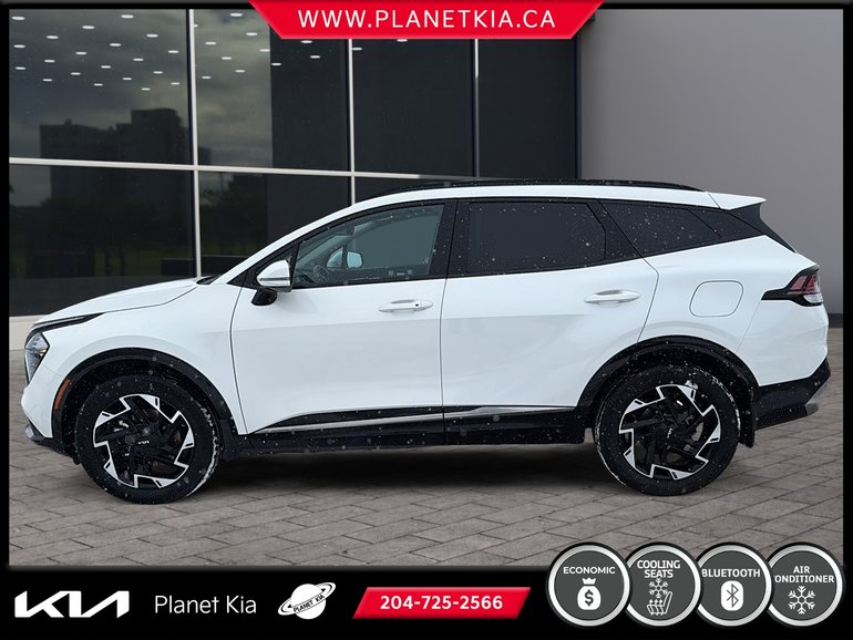 2024 Kia Sportage