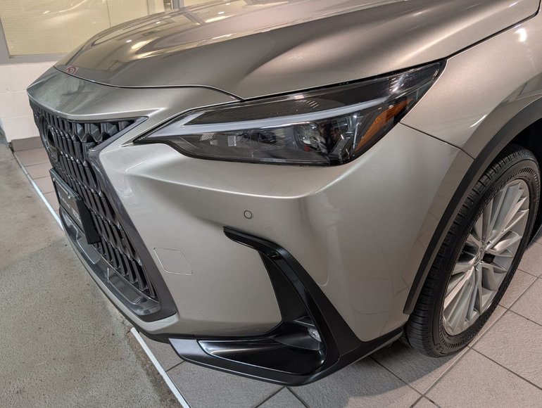 2024 Lexus NX 350