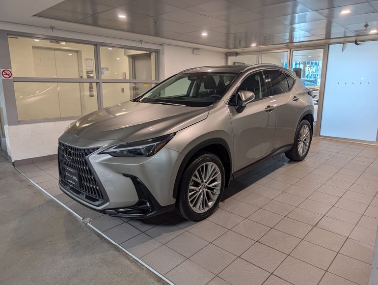 2024 Lexus NX 350