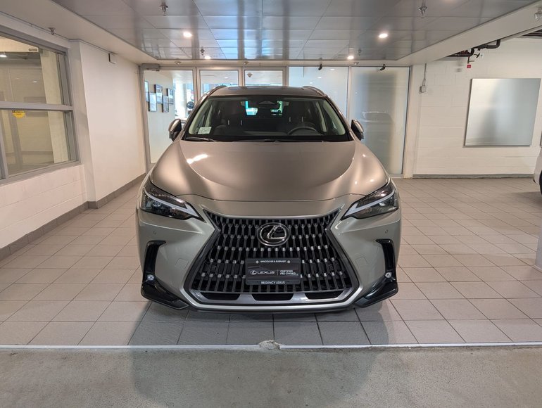 2024 Lexus NX 350