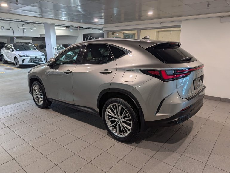 2024 Lexus NX 350